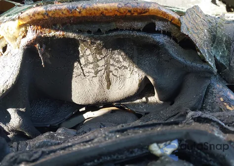 2021 Toyota Rav4 Prime Xse from USA, damaged, VIN JTMFB3FV0MD059931